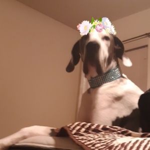 Meet your Posher, Makenzie